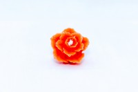 /album/kepgaleria/mg-1567-jpg/