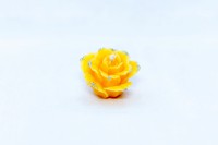 /album/kepgaleria/mg-1568-jpg/