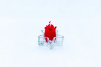 /album/kepgaleria/mg-1574-jpg/