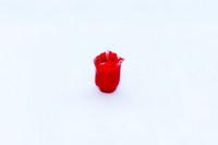 /album/kepgaleria/mg-1578-jpg/