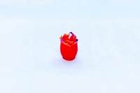 /album/kepgaleria/mg-1580-jpg/